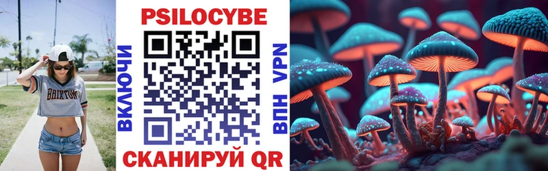 где купить наркоту  Торжок  Псилоцибиновые грибы Cubensis 