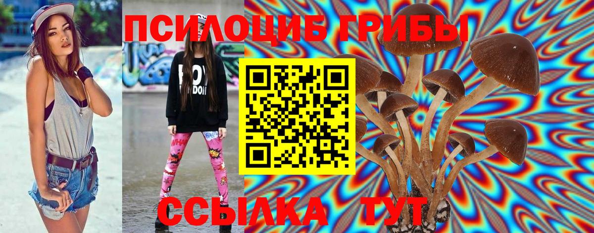 Торжок  Галлюциногенные грибы Psilocybine cubensis  продажа наркотиков  Вход с VPN 