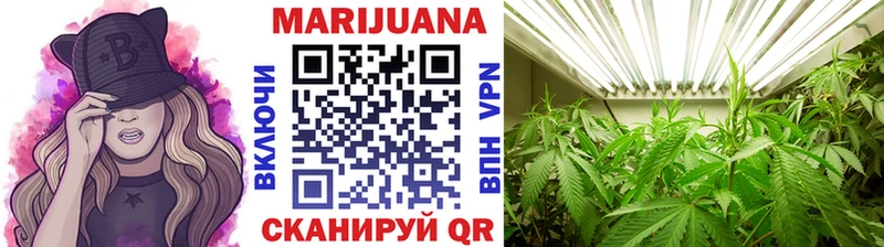 МАРИХУАНА сатива купить закладку Торжок